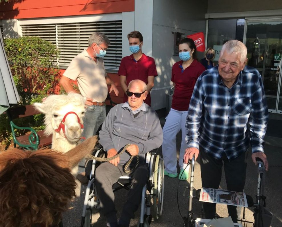 BewohnerInnen mit Alpakas.