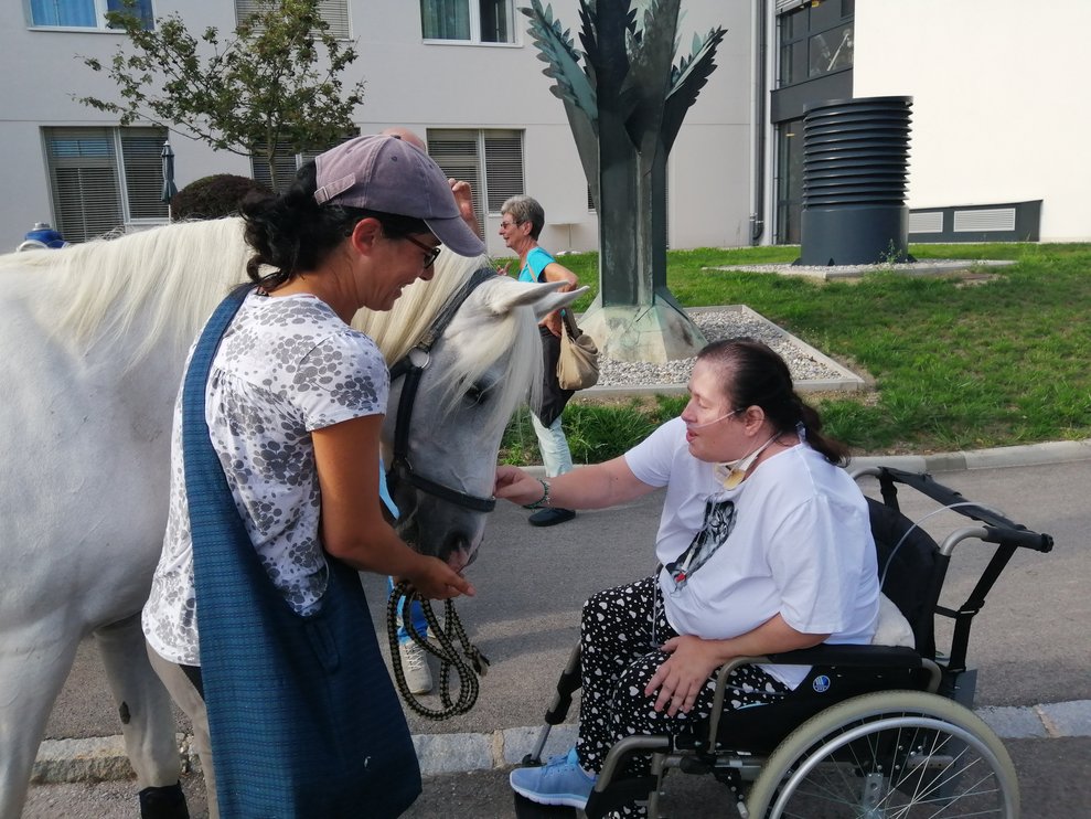 BewohnerInnen und ein Pferd.