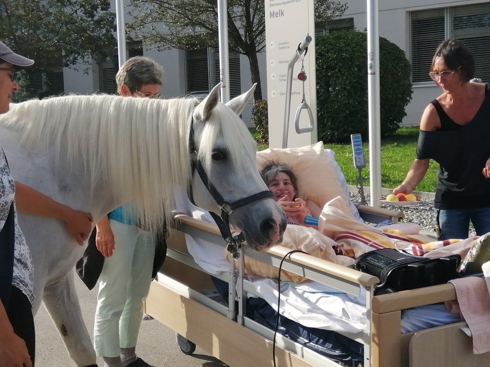 Eine Bewohnerin und ein Pferd.