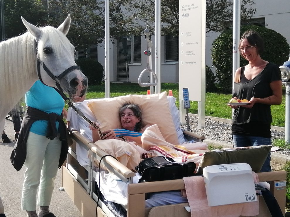 Eine Bewohnerin und ein Pferd.