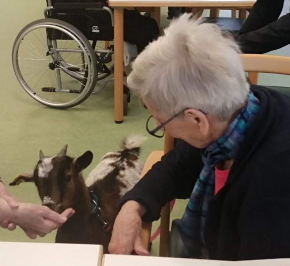 Besuch im Wohnbereich