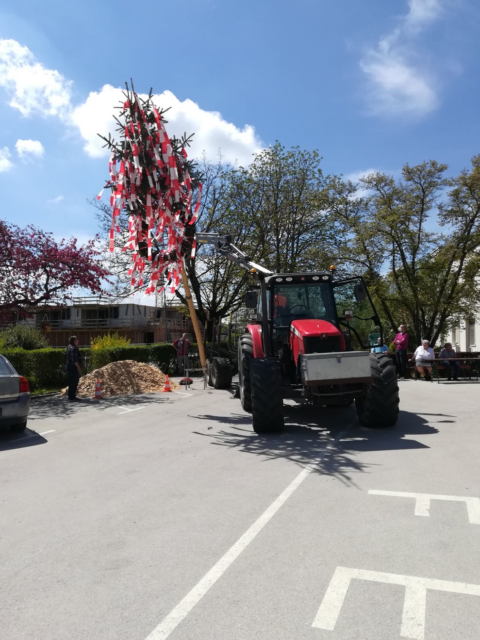 Der Maibaum wird aufgestellt.