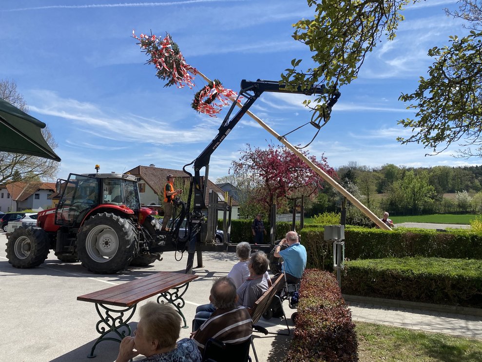Der Maibaum wird aufgestellt.