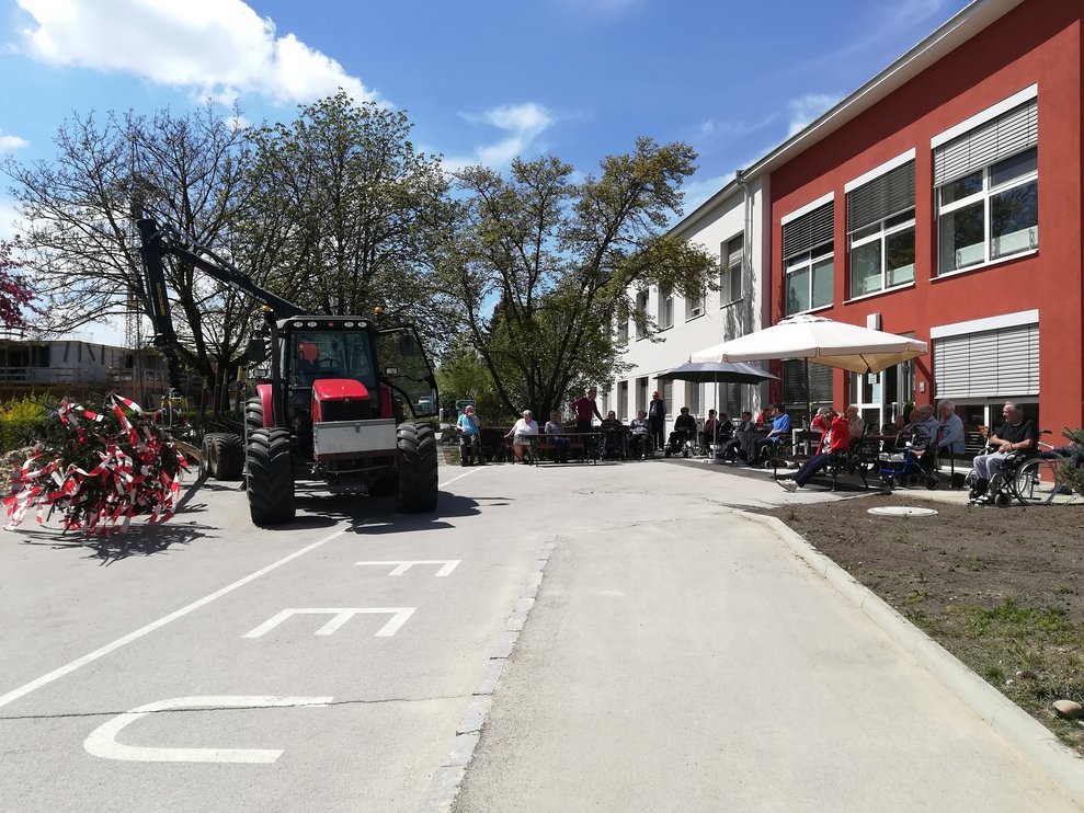 Der Maibaum liegt auf einem Traktor.