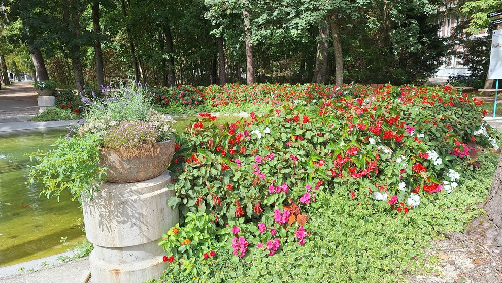 Blumen