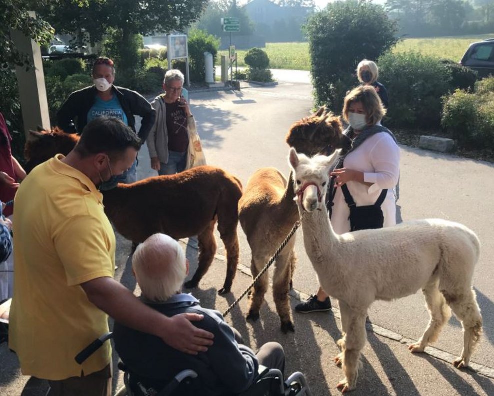 BetreuerInnen und Alpakas.