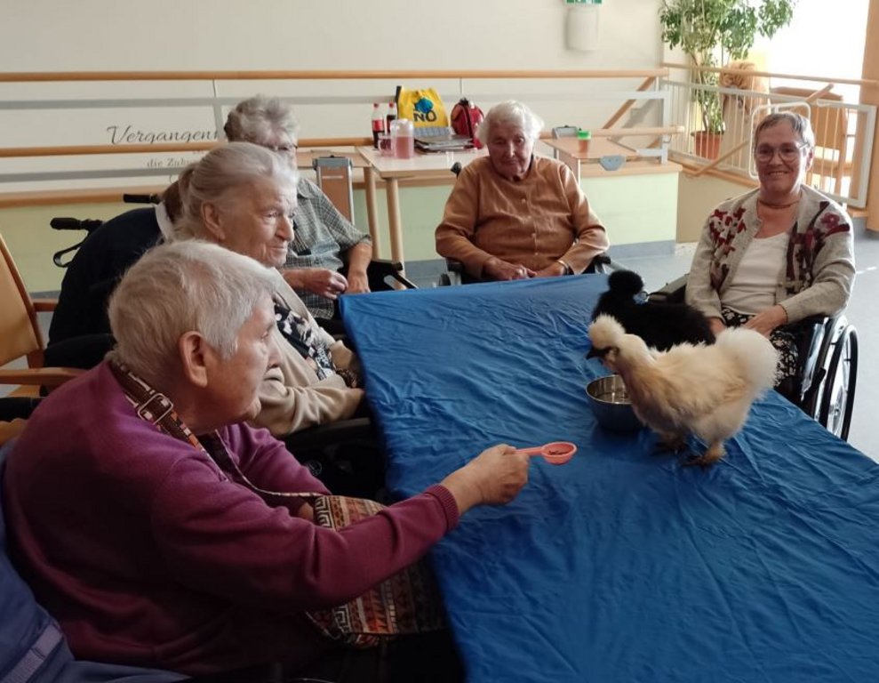 Tiere sind immer willkommen