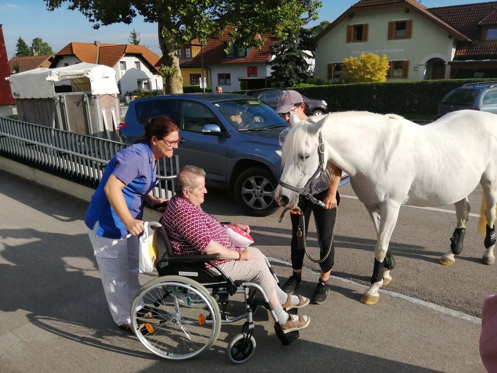BewohnerInnen, eine Betreuerin und ein Pferd.