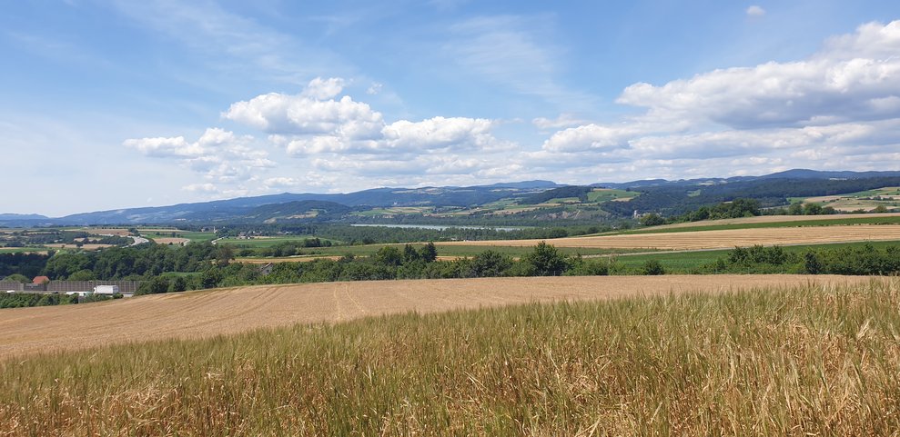 Ein Feld.